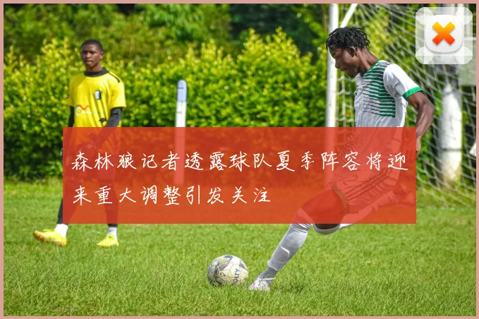 森林狼记者透露球队夏季阵容将迎来重大调整引发关注