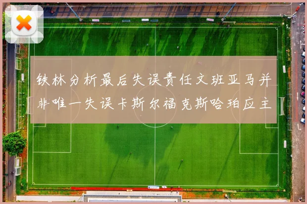 铁林分析最后失误责任文班亚马并非唯一失误卡斯尔福克斯哈珀应主动接球