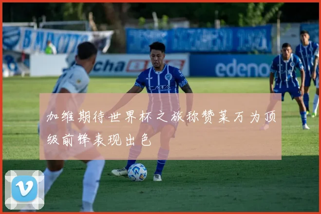 加维期待世界杯之旅称赞莱万为顶级前锋表现出色