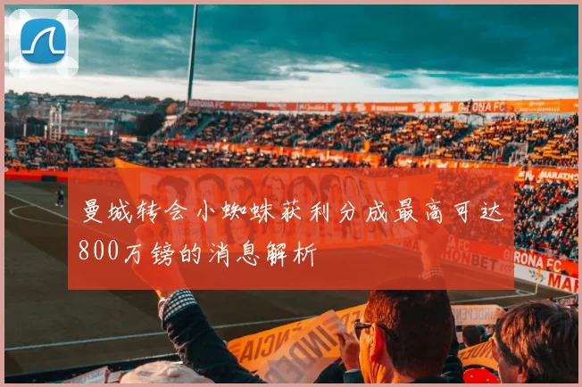 曼城转会小蜘蛛获利分成最高可达800万镑的消息解析