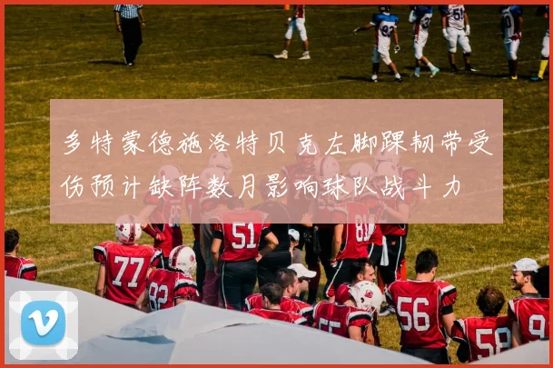 多特蒙德施洛特贝克左脚踝韧带受伤预计缺阵数月影响球队战斗力